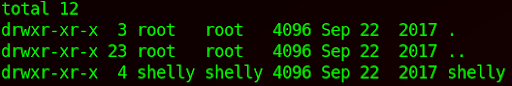 Picture of curl to the user shell file outputting ls